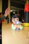 intern__2013.05.12__Schali Probenlager (53).jpg